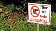 Wegen wilder Hundekacke: DNA-Datenbank gefordert - Foto: IMAGO / Gottfried Czepluch
