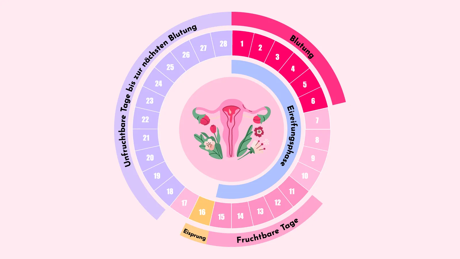 Wie lange bleibt Sperma in der Unterhose?