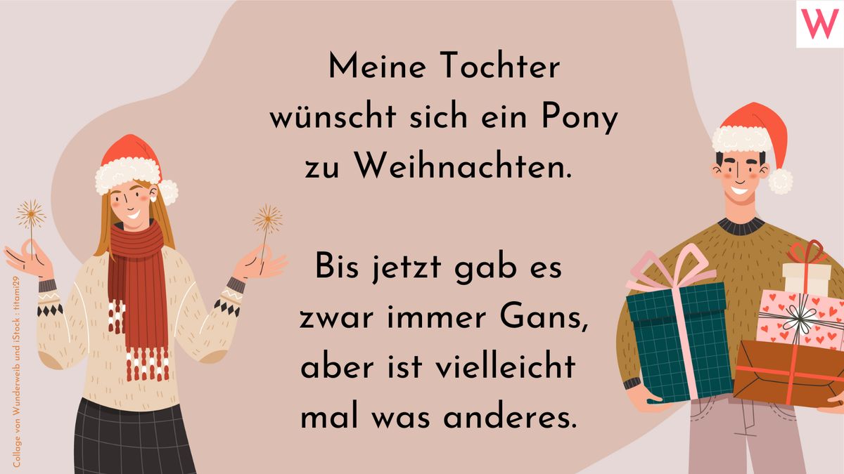 Meine Tochter wünscht sich ein Pony zu Weihnachten. Bis jetzt gab es zwar immer Gans, aber ist vielleicht mal was anderes.