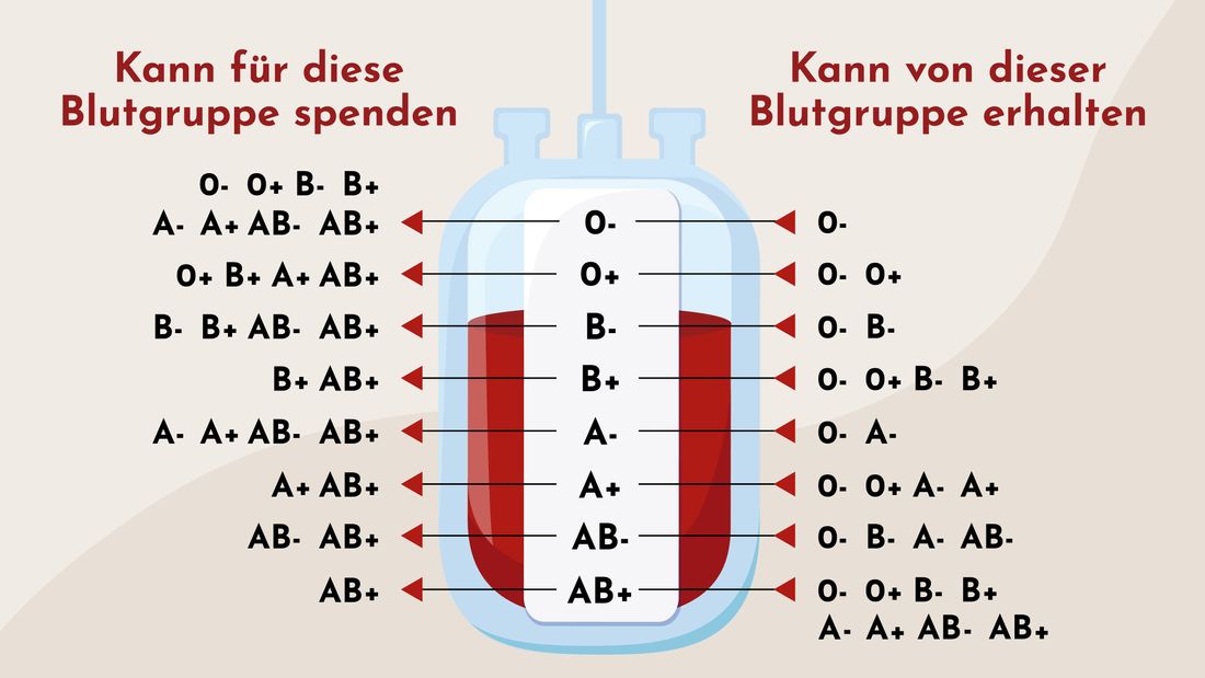 Wer kann wem Blut spenden und wer kann von wem Blut gespendet bekommen? Wer kann wem Blut spenden und wer kann von wem Blut gespendet bekommen?