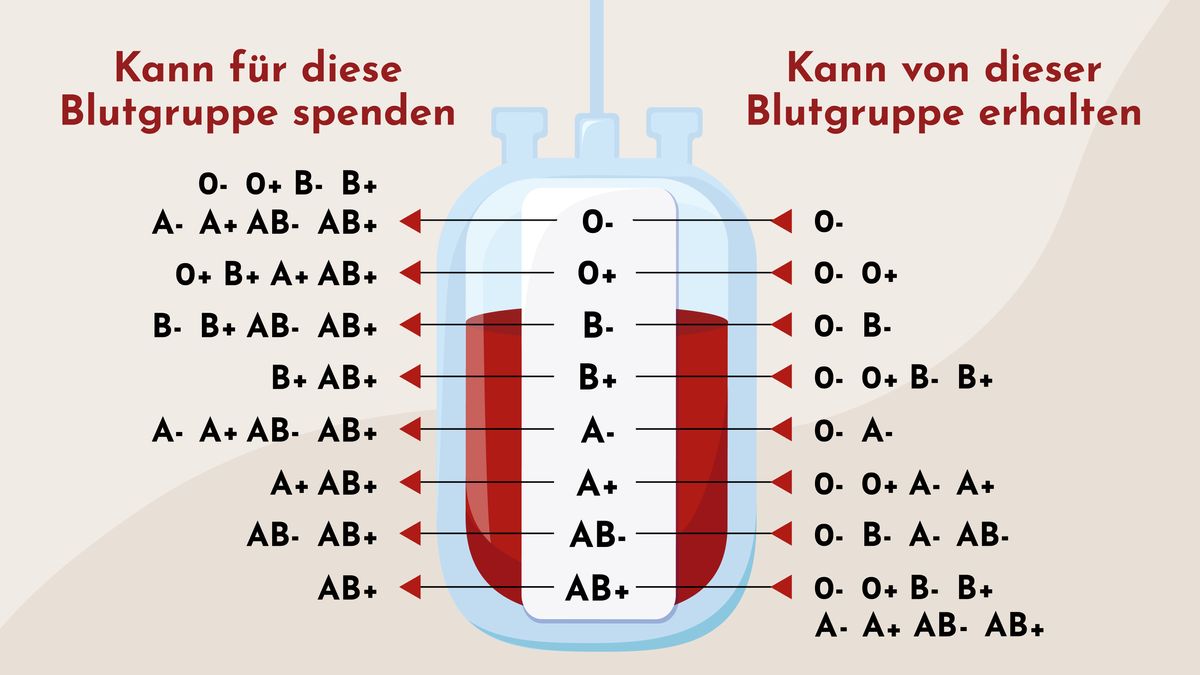 Wer kann wem Blut spenden und wer kann von wem Blut gespendet bekommen?