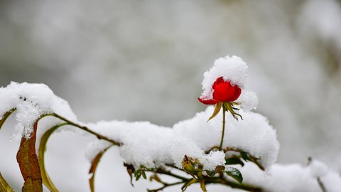 Kein Schnee? So warm wird der Winter 2023  - Foto: IMAGO / NurPhoto (Symbolbild)