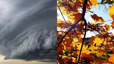 Wetter-Extrem: Orkanböen und Sommer-November möglich - Foto: Imago Images/Ina Peek