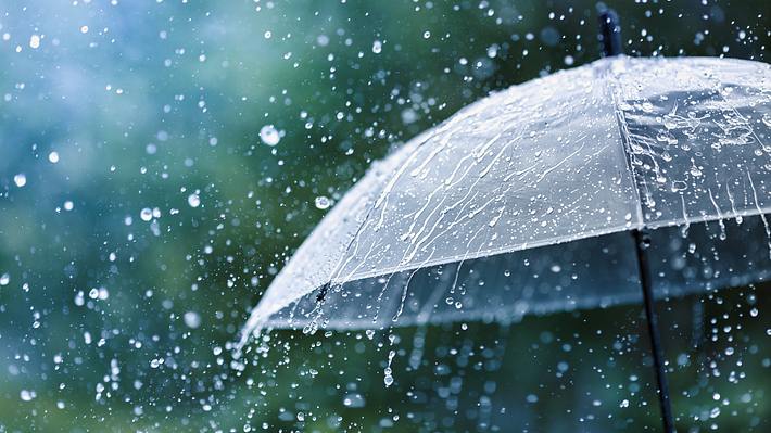 Durchsichtiger Regenschirm, auf den eine enorme Menge Regen prasselt. - Foto: Julia_Sudnitskaya / iStock