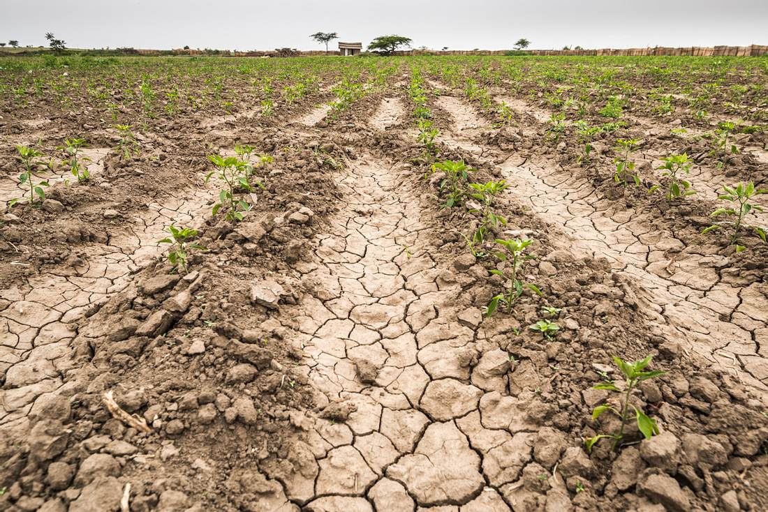 Dürre statt Regen: Wüstenmonat März macht Namen alle Ehre