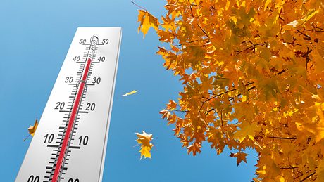 Hitze-Alarm! So schwitzig warm wird es im Herbst 2023 - Foto: Aleksandr Zubkov/Getty Images & artpartner-images/Getty Images, Collage: Wunderweib Redaktion 