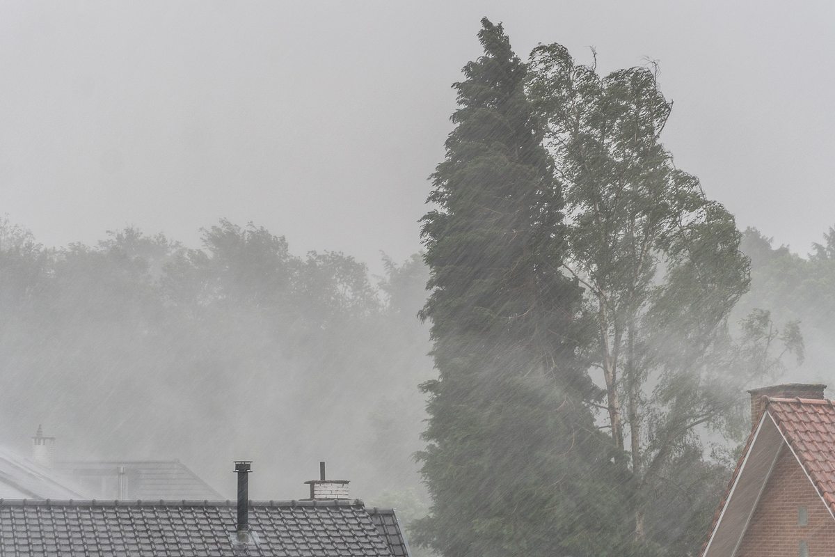 Großer Gewitter-Knall! Hier wird's richtig nass