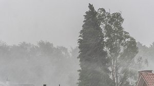 Großer Gewitter-Knall! Hier wirds richtig nass - Foto: Santiago Urquijo/Getty Images