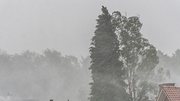 Mai-Monsun setzt sich fort! So regnerisch nass wird es - Foto: Santiago Urquijo/Getty Images (Themenbild)