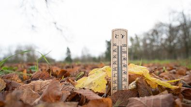 Ein Thermometer steht auf herbstlichem Laubboden im Freien, der Himmel ist bewölkt und die Umgebung wirkt kühl. - Foto: BeritK / iStock