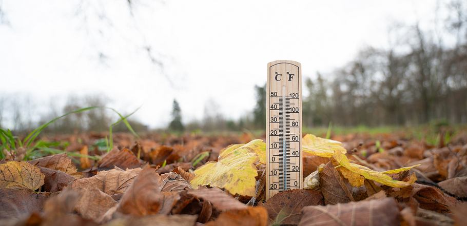 Ein Thermometer steht auf herbstlichem Laubboden im Freien, der Himmel ist bewölkt und die Umgebung wirkt kühl.
