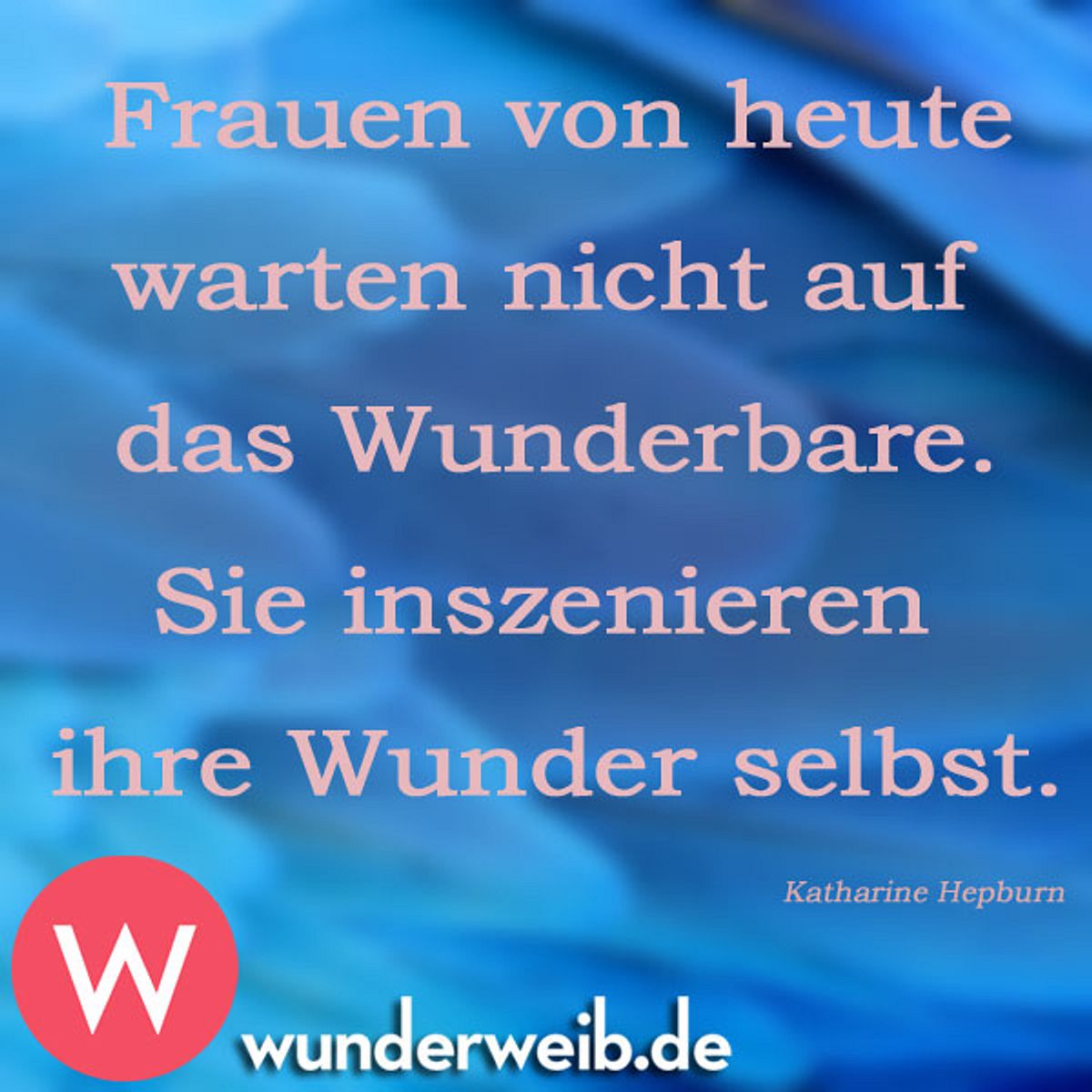 wft spruch