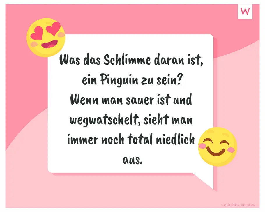 Pinguin-Show auf WhatsApp WhatsApp-Sprüche über Pinguine