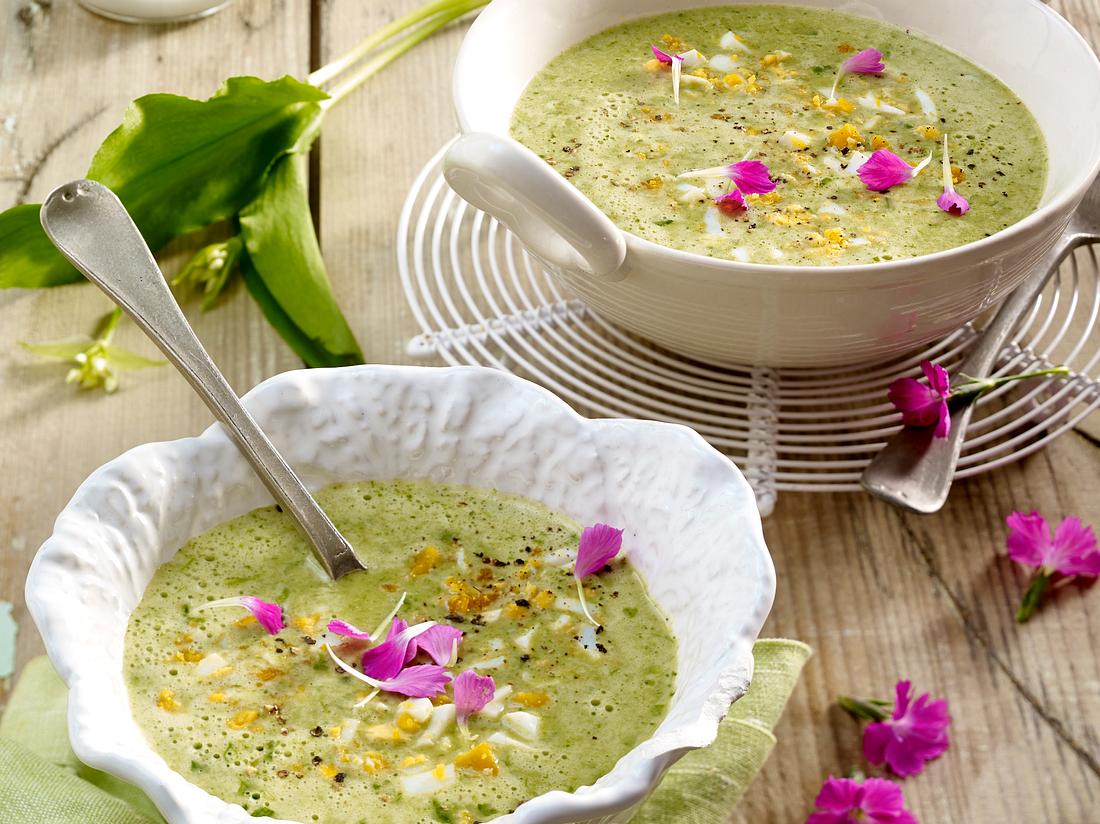 Wildkräuter-Suppe Wildkräuter-Suppe