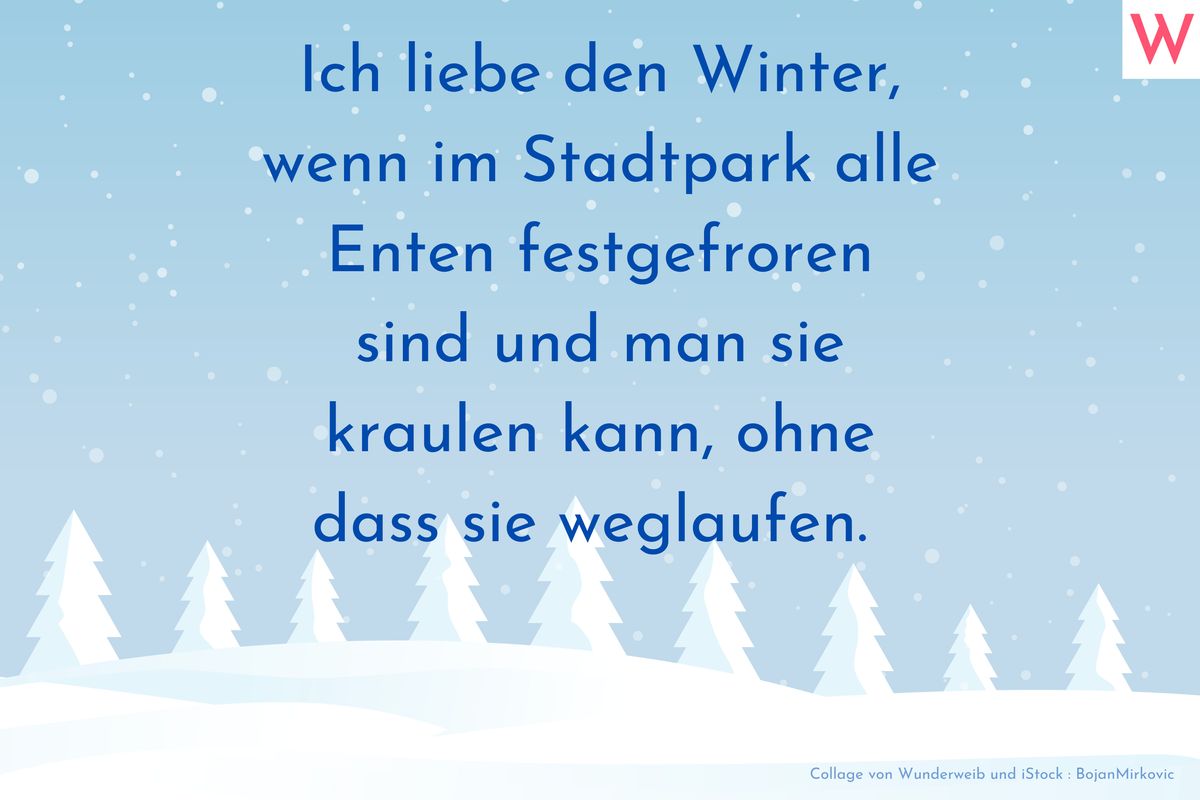 Ich liebe den Winter, wenn im Stadtpark alle Enten festgefroren sind und man sie kraulen kann, ohne dass sie weglaufen.