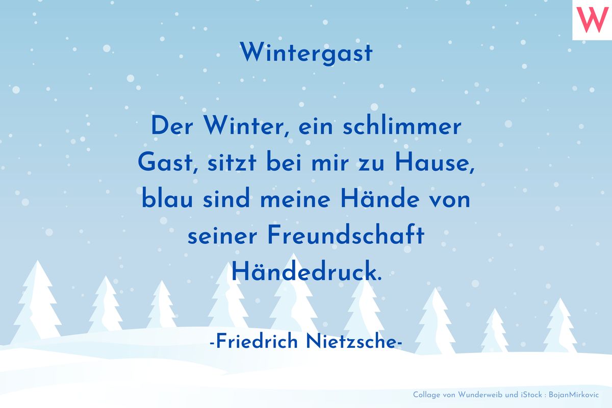 Der Winter, ein schlimmer Gast, sitzt bei mir zu Hause, blau sind meine Hände von seiner Freundschaft Händedruck. (Friedrich Nietzsche)