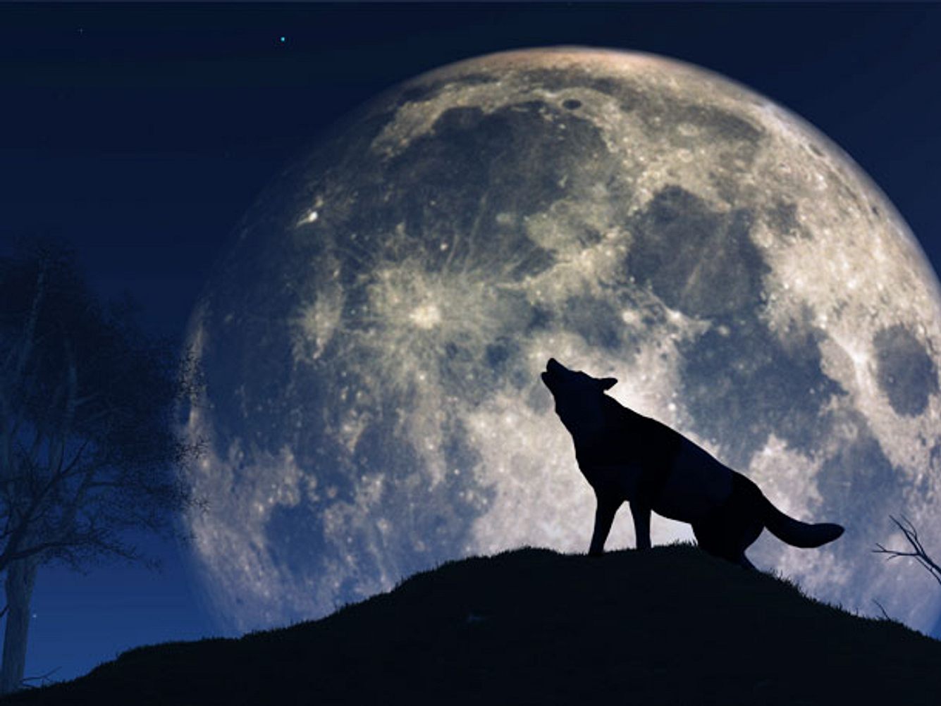 Der erste Vollmond des Jahres trägt den Namen Wolfsmond.