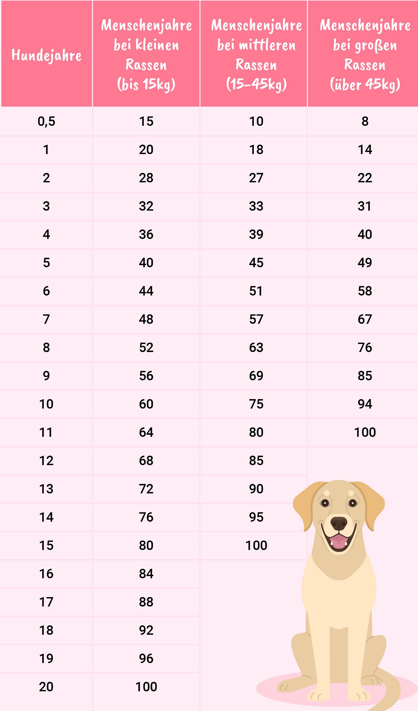Übersicht der Umrechnung: Hunde- in Menschenjahre. Übersicht der Umrechnung: Hunde- in Menschenjahre.
