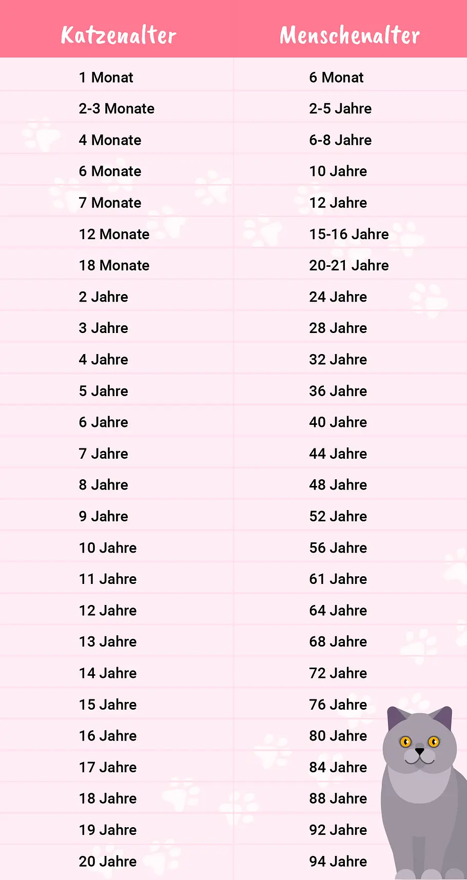 Umrechnung von Katzen- in Menschenjahre in der Übersicht. Umrechnung von Katzen- in Menschenjahre in der Übersicht.