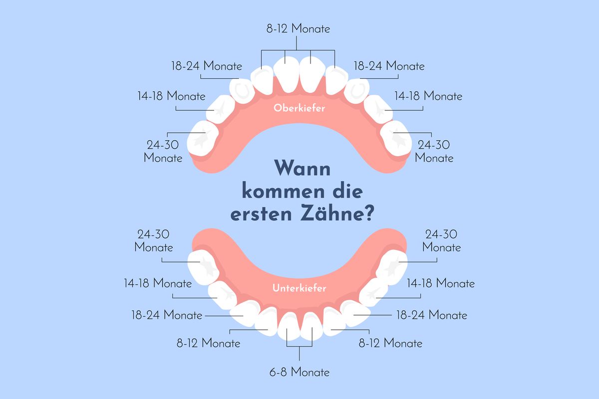 Wann kommen welche Milchzähne?