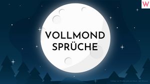 Die allerschönsten Vollmond-Sprüche und -Zitate - Foto: Collage von Wunderweib und iStock : Adi Wirawan