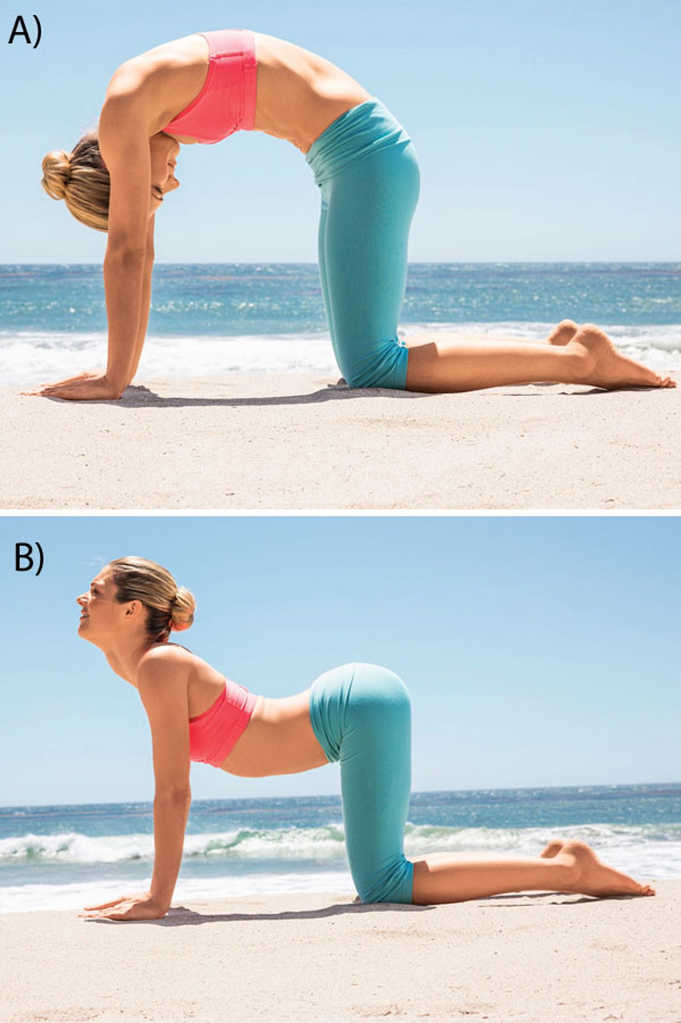 Yoga-Übungen für einen knackigen Surferbody: Cat/ Cow yoga uebungen fuer einen knackigen surferbody cat cow