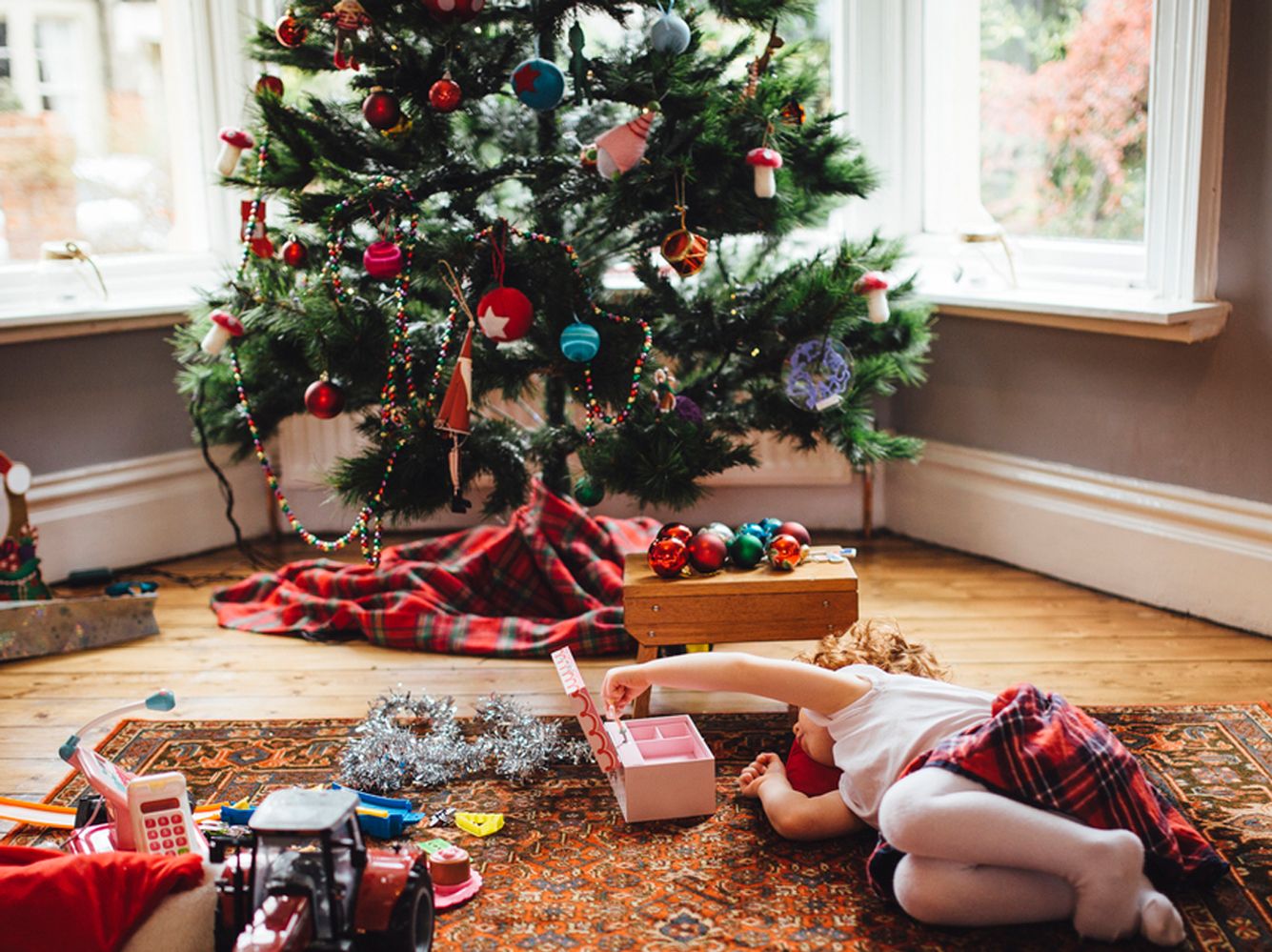 Im Tannenbaum können Zecken lauern. Im Tannenbaum können Zecken lauern.