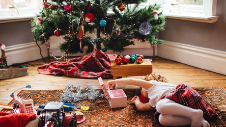 Im Tannenbaum können Zecken lauern. - Foto: iStock