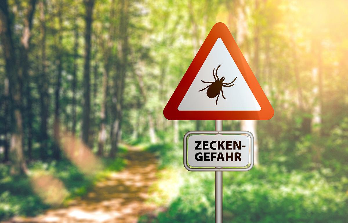 Nahaufnahme des Warnschildes mit Text ZECKEN GEFAHR vor Waldhintergrund.